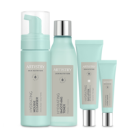 Amwayスキンケアセット Buy Artistry Skin Nutrition Hydrating Solution Set for Dry Skin