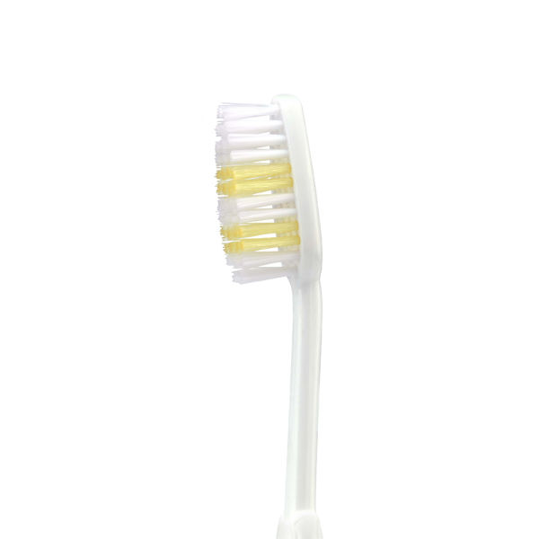 amway Persona Classic Family best Toothbrush best 1